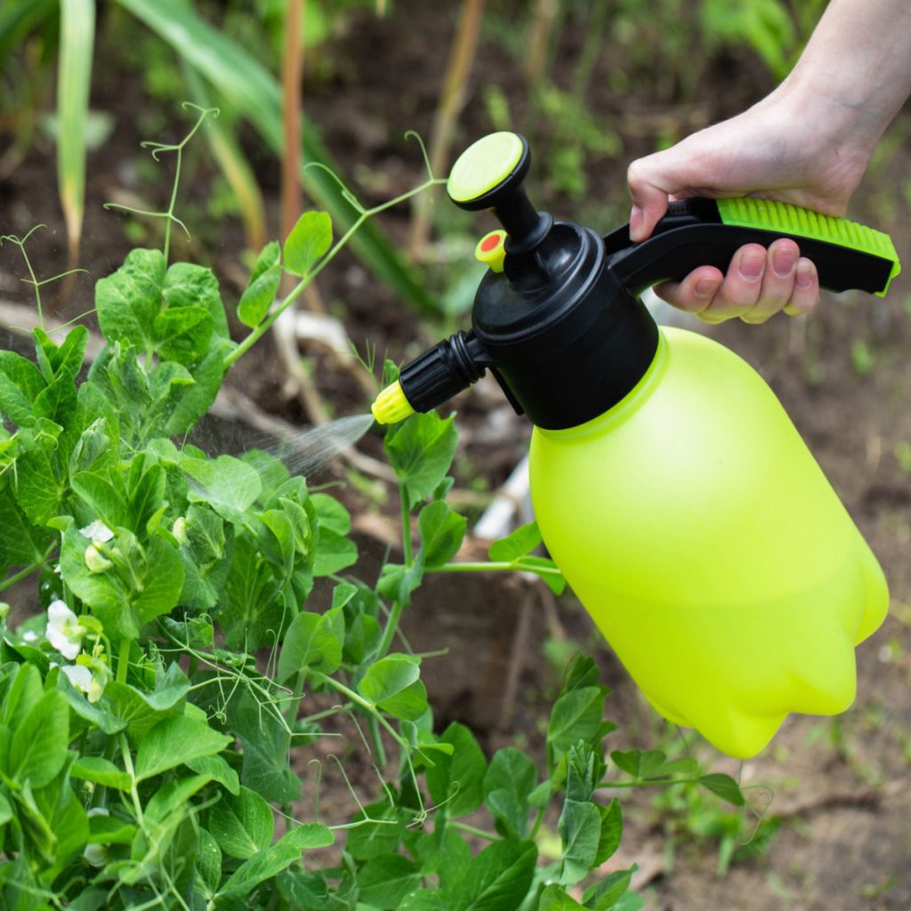 hot pepper spray