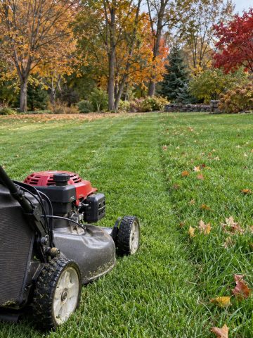 best things to do for a lawn in October